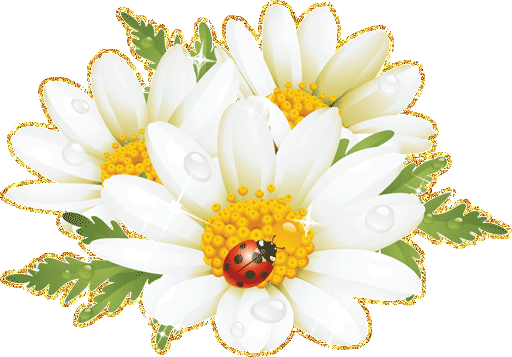 Цветы ромашки - Цветы анимация - Анимационные блестящие картинки GIF